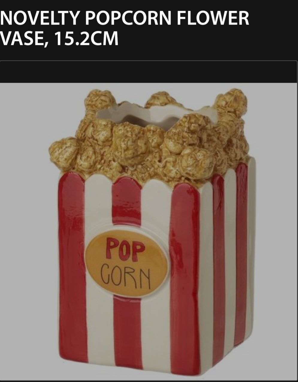 Novelty Popcorn Flower Vase