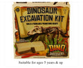 Dino Discovery Dinosaur Excavation Kit
