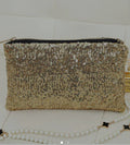 Sequin Bag