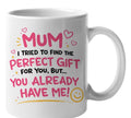 Mum I Tried To Find The Perfect Gift Mug