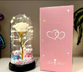 LED Rose Bear Couple Glass Dome Gift Set