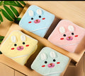 Hooded Baby Towel