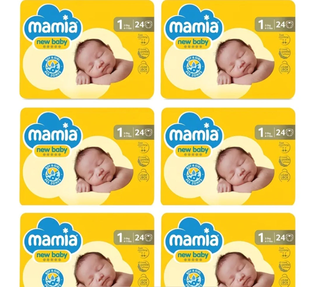Size 1 Nappies - Box of 6 Packs