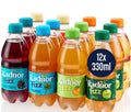 Radnor Mixed Fizz 12 Pack