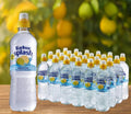 Radnor Lemon & Lime Still Water Case of 24
