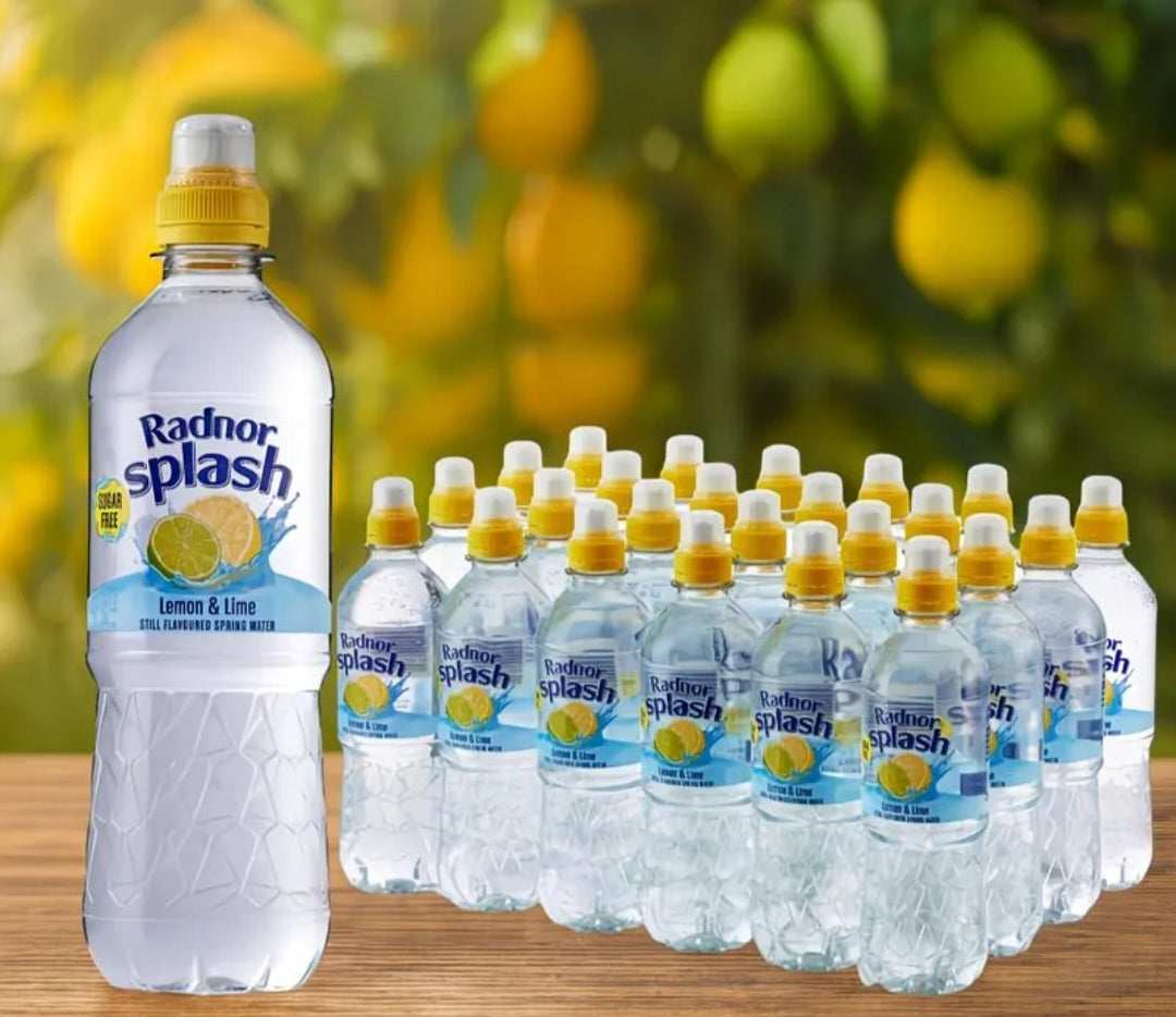 Radnor Lemon & Lime Still Water Case of 24