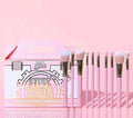 P Louise 10 Piece Beginner Brush Set